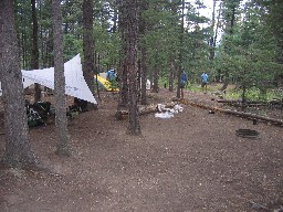 Campsite at Ponderosa Park