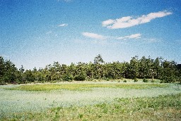 The Meadow at Vaca