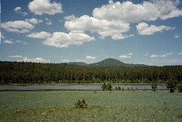 The long view at Deer Lake Camp