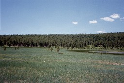 The Meadow at Deer Lake Camp