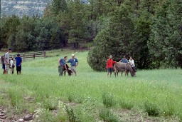 Burro Racing at Harlan