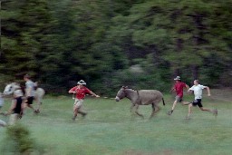 Burro Racing at Harlan