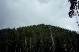 View from Lambert's Mine