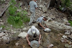 Gold Panning at Cypher's