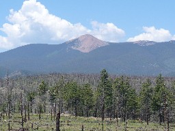 Baldy from near Dan Beard