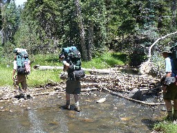 Stream Crossing enroute to Greenwood Canyon from Rich Cabins
