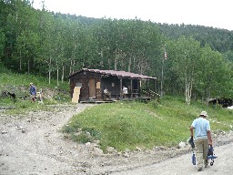 Baldytown Staff Cabin