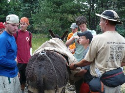 Packing the Burro at Miranda