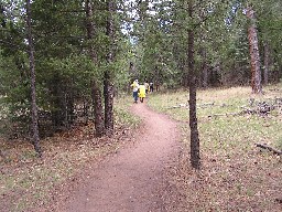 Between Cathedral Rock & Clarks Fork