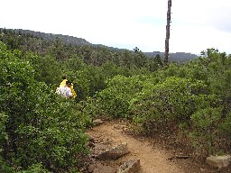 Between Cathedral Rock & Clarks Fork