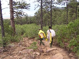 Between Cathedral Rock & Clarks Fork