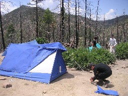 Ponil Campsite (fire damage)