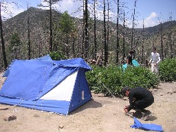 Ponil Campsite (fire damage)