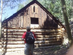 Black Horse Horse Mine