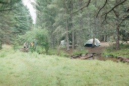 Porcupine Campsite