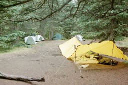 Porcupine Campsite