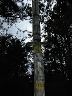 Totem Pole at Cito