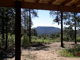 The view from the porch at Miner's Park