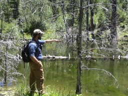 Visiting a Beaver Dam near North Fork Urraca Campsite #1