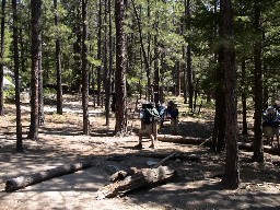 A Campsite at Aspen Springs