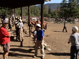 The corral at Clarks Fork