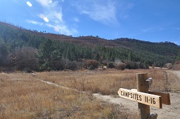 Campsites at Ponil - Note recovering burn area from 2000 Ponil Complex Fire