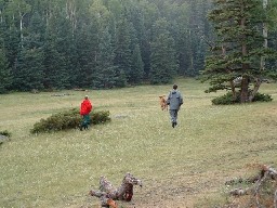 Roundup time at Crooked Creek