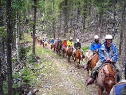 Trail ride at Beaubien