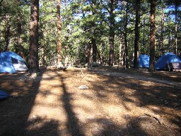 Tooth Ridge Campsite #12