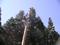 Spar Poles at Pueblano