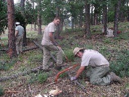 Conservation at Cito