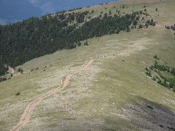 View of the 4wd road and meadow beyond it  that is part of the new 'North Baldy Ridge