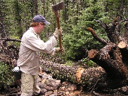 Conservation at Bonia Peak