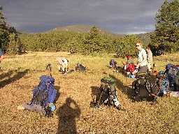 The meadow at Lover's Leap Camp