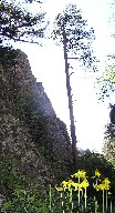 The hike along the middle fork between Cyphers and Hunting Lodge