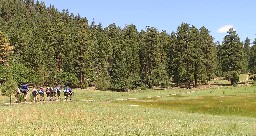 On the trail between Cito & Hunting Lodge