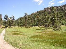 On the trail between Cito & Hunting Lodge