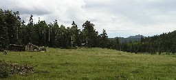 The meadow at Crooked Creek with Trail Peak in the distance