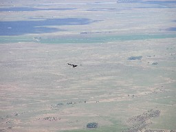 View of a hawk from the Tooth of Time