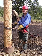 Spar pole climbing at the Crater Lake division of the Continental Tie & Lumber Co.