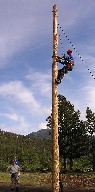 Spar pole climbing at the Crater Lake division of the Continental Tie & Lumber Co.