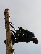 Spar pole climbing at the Crater Lake division of the Continental Tie & Lumber Co.