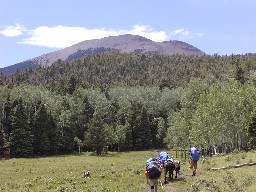 Baldy Mountain from Ewells Park