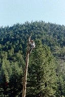 Spar pole climbing at Pueblano