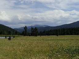 Baldy from Shuree Ponds