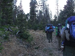 on the trail to baldy from upper greenwood canyon