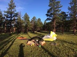 Campsite at Seally Canyon