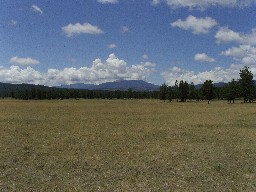 view of Baldy from Whiteman Vega